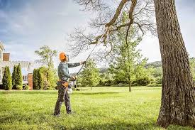 Best Tree Risk Assessment  in Darien, WI